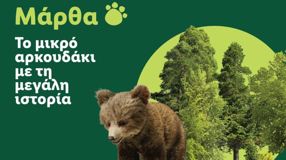 Lidl Ελλάς ΑΡΚΤΟΥΡΟΣ